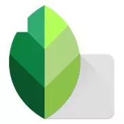 Snapseed-Photo Editing Apps